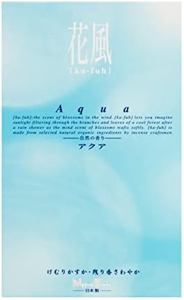 Nippon Kodo Japanese Incense Multicolor One Size