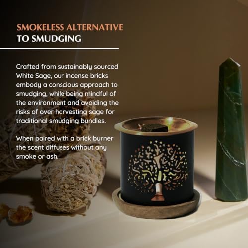 White Sage Frankincense Incense Bricks with Snowflake Burner by Aromafume