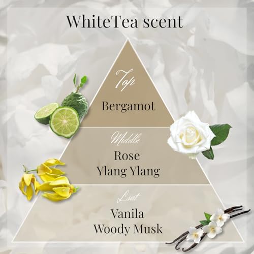 Luxury Japanese Incense Sticks 60pcs Calming Aromatherapy