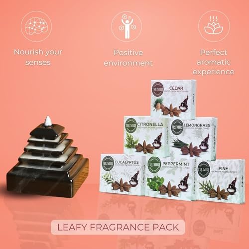 Leafy Backflow Incense Cones Variety Pack 60