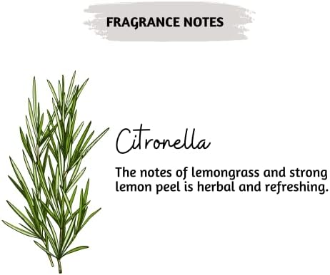 Folkulture Citronella Incense Sticks Set of 75