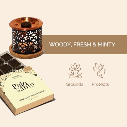 Aromafume Palo Santo Incense Bricks with Snowflake Burner