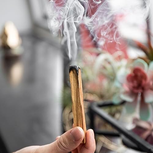 Beverly Oaks A-Grade Palo Santo Incense Sticks - Bulk Lot of 24