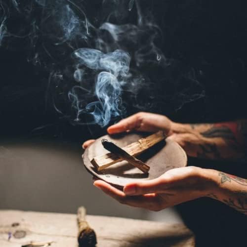 Anima Mundi Apothecary Palo Santo Wood Bundle