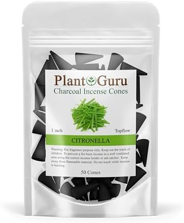 Citronella Charcoal Incense Cones 1 - 50 Pack - Natural
