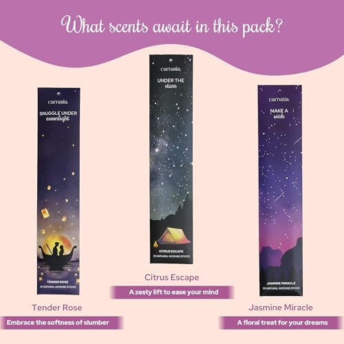 Carnatia Sleep Essentials Incense Sticks Set of 6