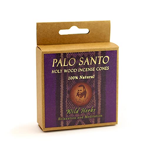 Prabhujis Gifts Palo Santo Incense Cones - 6 Pack Spiritual Aromas