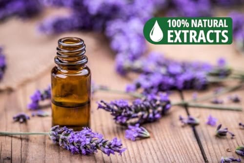 Bless Lavender 100 Natural Hand Dipped Incense Sticks 100 Sticks