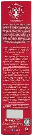 Hosley 120 Pack Strawberry Incense Sticks
