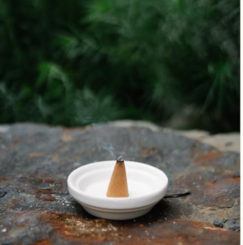 Bless International Natural Citronella Incense Cones 10 Count