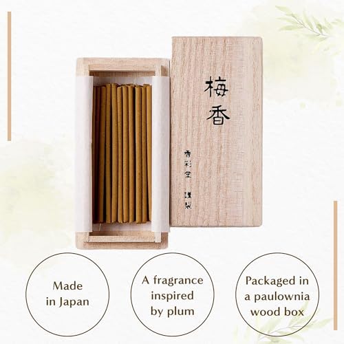 Hasegawa Japanese Smokeless Spring Plum Blossom Incense - 30 Sticks