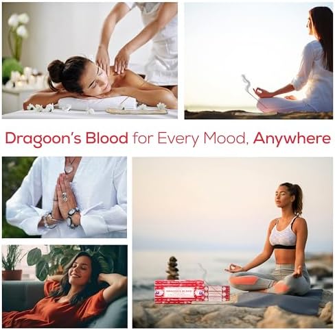 Raajsee Satya Dragon Blood Incense Sticks 15gmx12 Pack with Holder Bundle