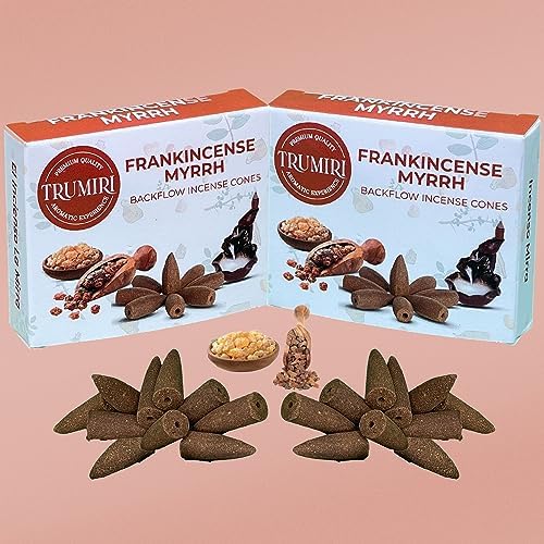 Frankincense Myrrh Backflow Incense - 20 Cones Dual Pack