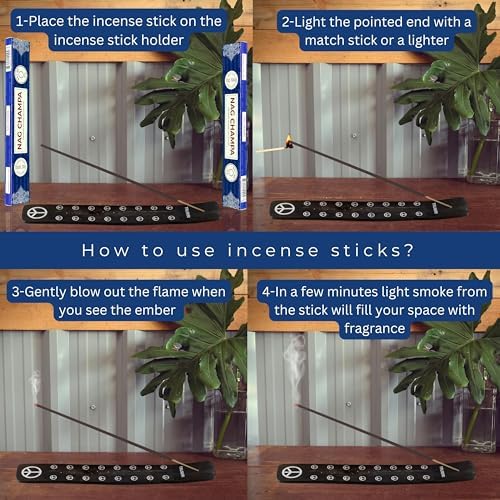 TRUMIRI Nag Champa Incense Sticks - 30 Sticks Dual Pack
