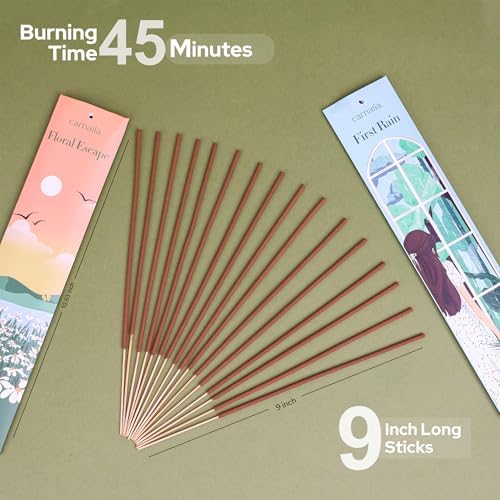 Carnatia Nature Incense Sticks Set of 6 for Stress Relief and Inner Peace