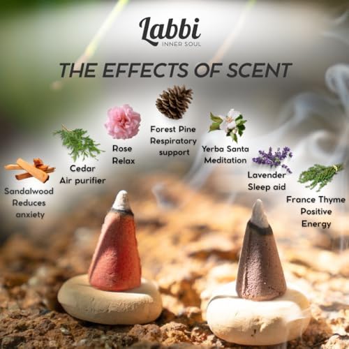 LABBI Natural Incense Cones - 20 Lavender Sage Fragrance for Relaxation and Meditation