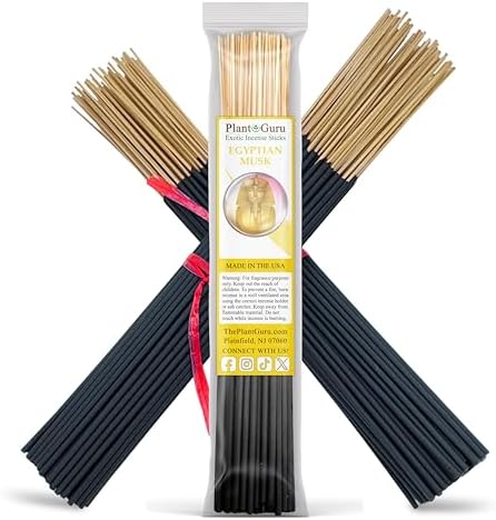 Egyptian Musk Exotic Incense Sticks 11 Long