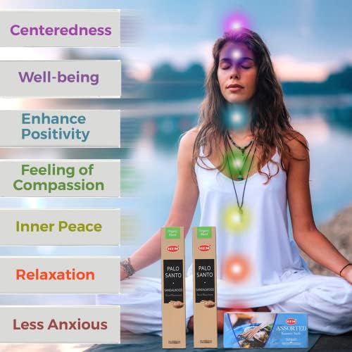 HEM Assorted Incense Sticks 6 Packs - Aromatherapy for Air Purifier Meditation and Relaxation