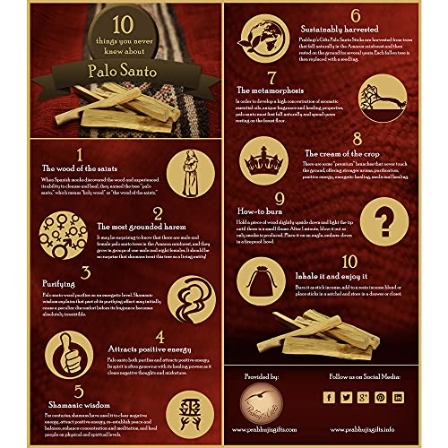Prabhujis Gifts Palo Santo Incense Cones - 6 Pack Spiritual Aromas