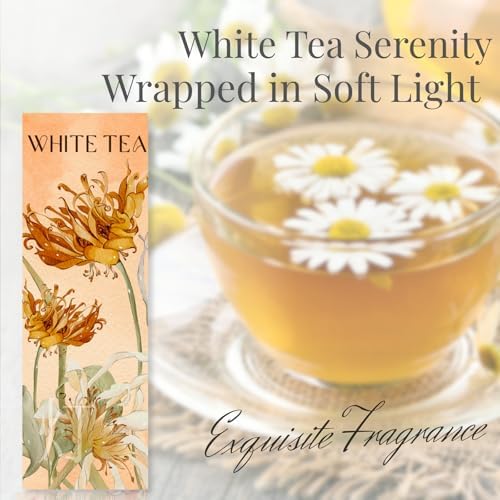 Japanese White Tea Jasmine Musk Grapefruit Incense Sticks 60pcs