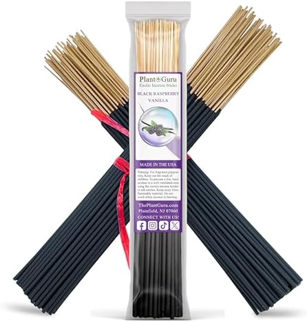 Black Raspberry Vanilla Incense Sticks - 11 Inch Bundle