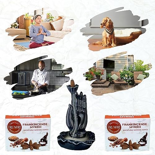 Frankincense Myrrh Backflow Incense - 20 Cones Dual Pack