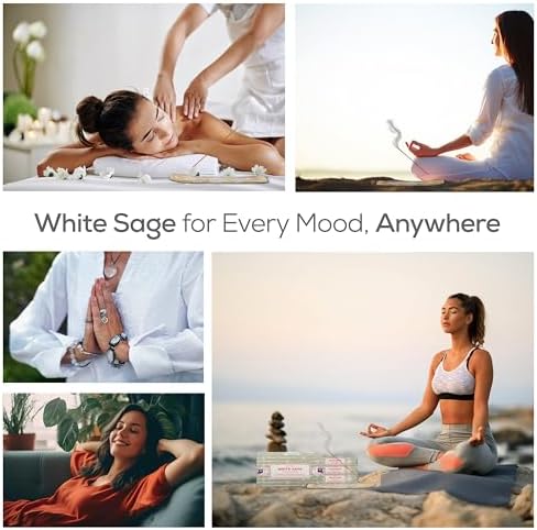 Satya Nag Champa White Sage Incense Sticks 15g 12 Pack with Holder Bundle