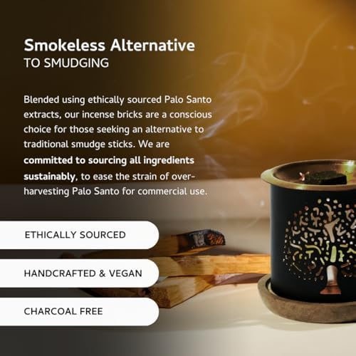 Palo Santo Cinnamon Smokeless Incense Bricks Refill 3x9 Bricks Aromatherapy Smudging Natural Air Fresheners