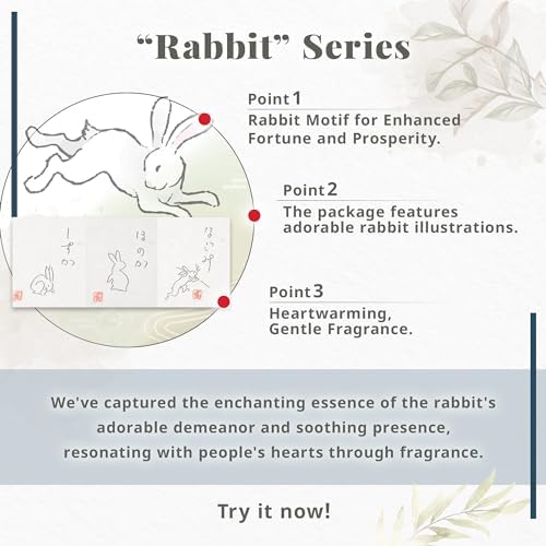 Hasegawa Rabbit Series Incense Cone Set 10 Cones with Holder