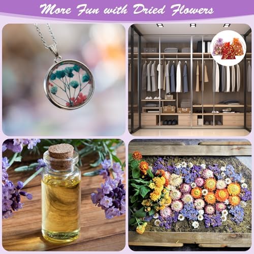 50 Bag Dried Flowers Kit for Soap Making DIY Crafts