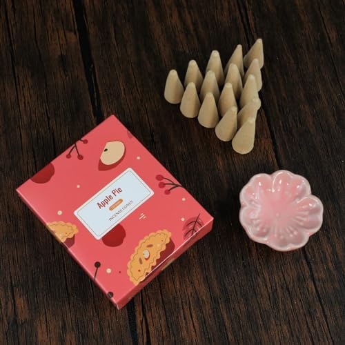 120 Pack Incense Cones with Holder 8 Scents Assorted