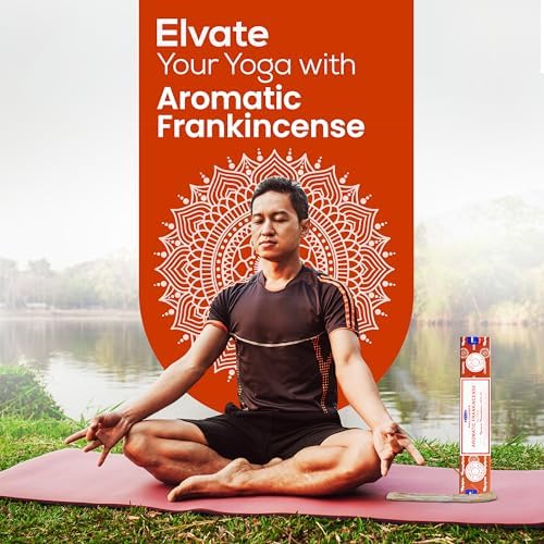 Satya Aromatic Frankincense Incense Sticks 45 gm Pack with Raajsee Holder