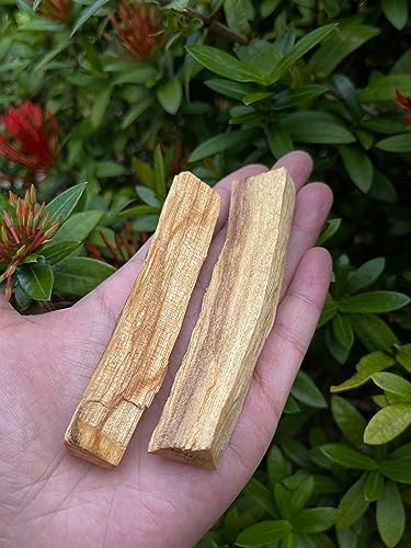 GAF TREASURES 4 Palo Santo Stick Bulk Lot