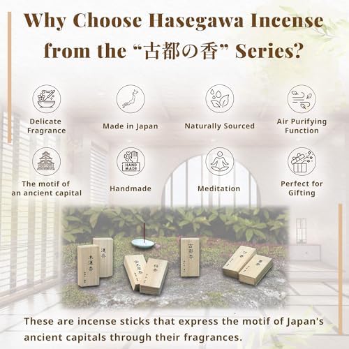 Hasegawa Japanese Smokeless Spring Plum Blossom Incense - 30 Sticks