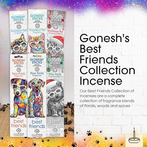 Gonesh Best Friends Incense Sticks Variety Pack - 3 Pack of 30 Non-Toxic 10 Inch