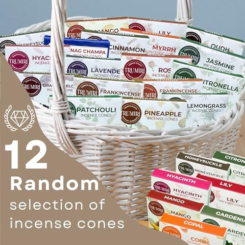 Trumiri Incense Cones 120 Pack with 12 Scents