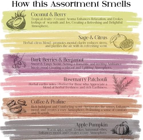 Raajsee Natural Incense Sticks Variety Pack - 120 Sticks 6 Scents Organic Non Toxic Boho Gift Set