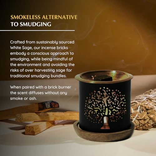 White Sage and Palo Santo Incense Bricks 3x9