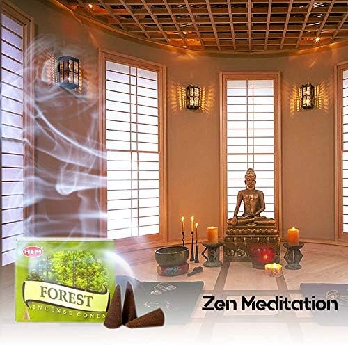 HEM Forest Pack of 12 Incense Cones Boxes 10 Each