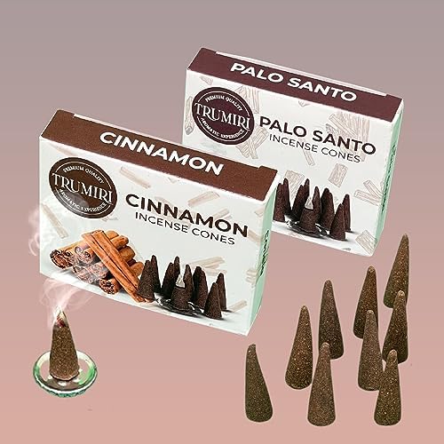 TRUMIRI Palo Santo Cinnamon Incense Cone Combo Pack - 10 Each