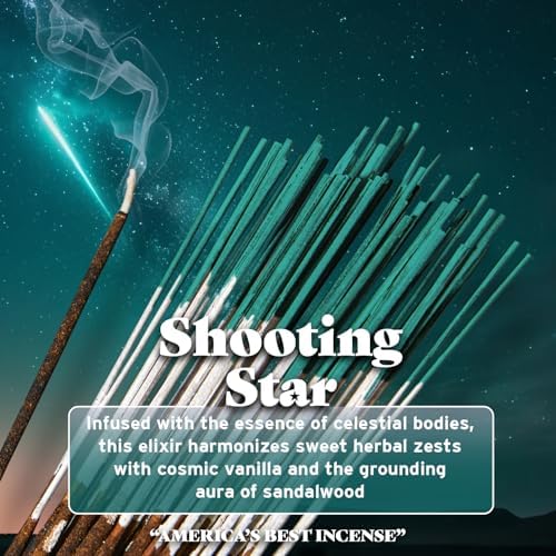 Wild Berry Incense Sticks - Shooting Star 100 Count