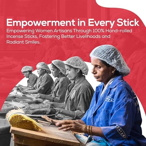 Raajsee Satya Dragon Blood Incense Sticks 15gmx12 Pack with Holder Bundle