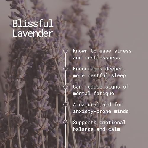 APPUS Blissful Lavender Incense Sticks 100g