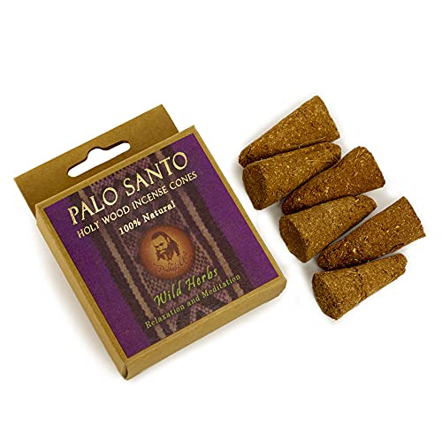 Prabhujis Gifts Palo Santo Incense Cones - 6 Pack Spiritual Aromas