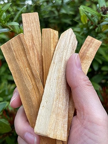 GAF TREASURES 4 Palo Santo Stick Bulk Lot