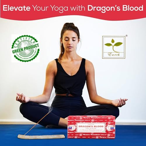 Raajsee Satya Dragon Blood Incense Sticks 15gmx12 Pack with Holder Bundle