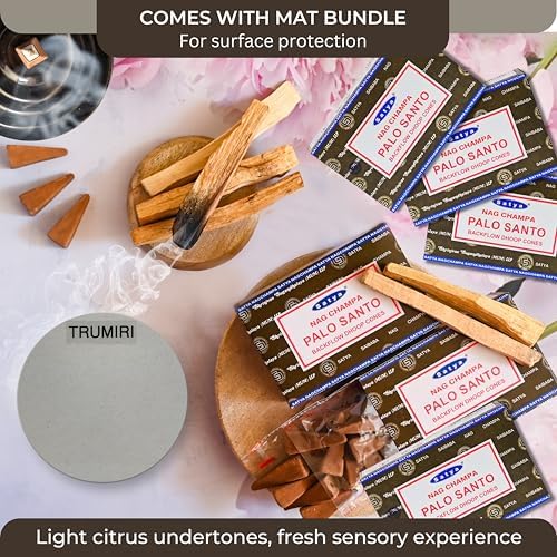 Palo Santo Backflow Incense Cones Pack of 6