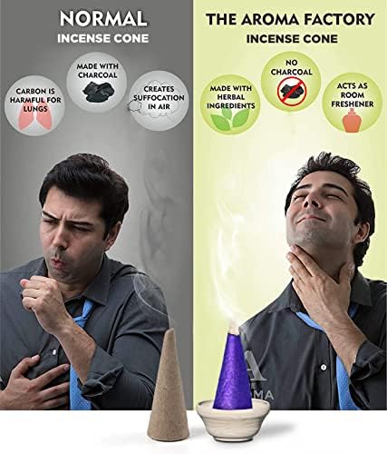 The Aroma Factory Incense Dhoop Cone Lavender 1 Bottle x 30 Cones