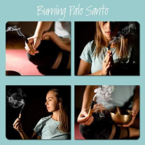 HIPFREE Palo Santo Sticks 12-Pack Holy Wood for Cleansing