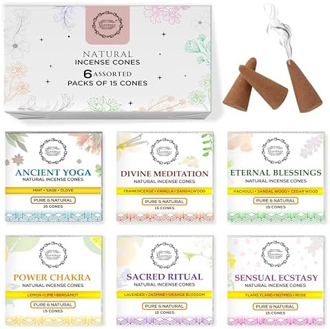 Raajsee Natural Incense Cones Gift Pack 90 Total